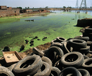 Sick and tyre’d of pollution