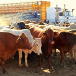 Mooovin’ on the highway