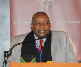 Mvikeli Ngcamu, integrated transport chief director at the Department of Transport, addressed delegates after the department’s acting director general failed to arrive.