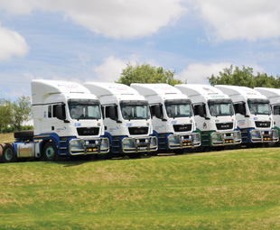 MAN TGS 26.440 BLS truck tractors lined up for delivery in the livery of Imperial Cargo.