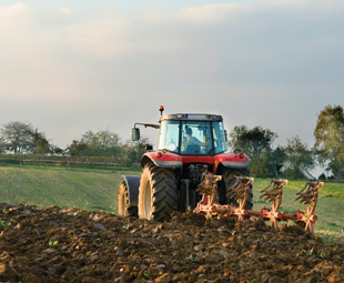 Farmers to have a field day