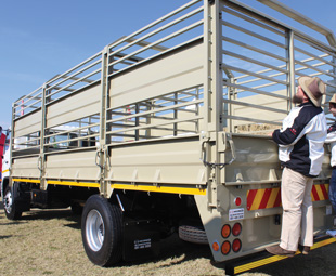 The 500 cattle truck attracted much interest.