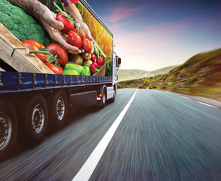 Food transport whipped into shape