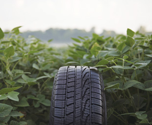 Hassle-free tyre solutions