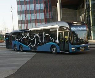 Buses far as the eye can see